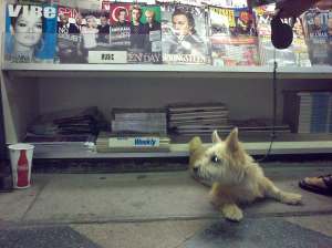Catching up on the latest mags on the news stand.